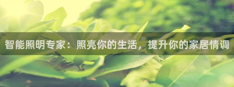云顶国际服哪个服人多