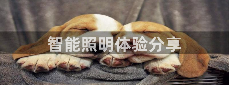 云顶国际滑雪场在哪里