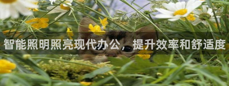 云顶国际黑网不出款