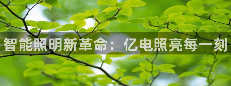 云顶国际商务会所地址