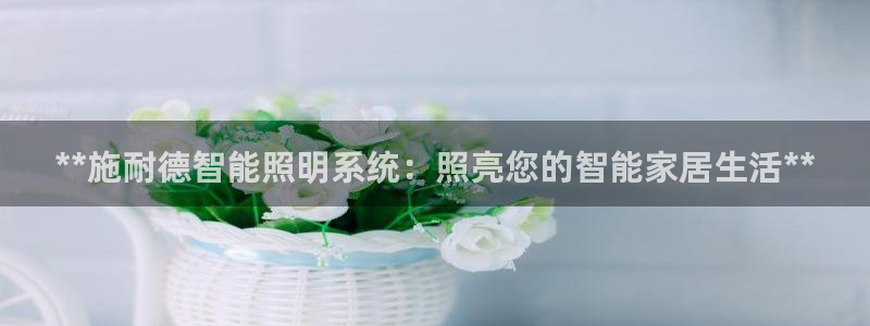 2020云顶