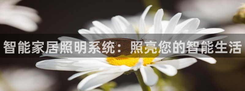 yd云顶集团app下载