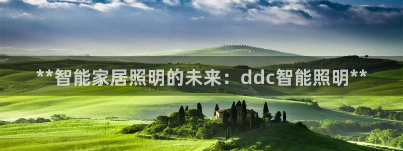 云顶国际有限公司