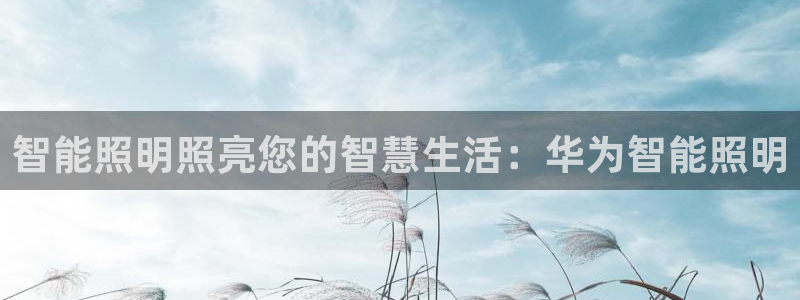 云顶国际麻将胡了