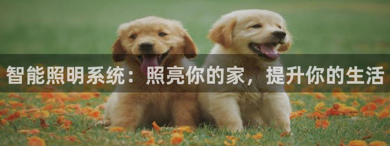 云顶国际酒店位置图
