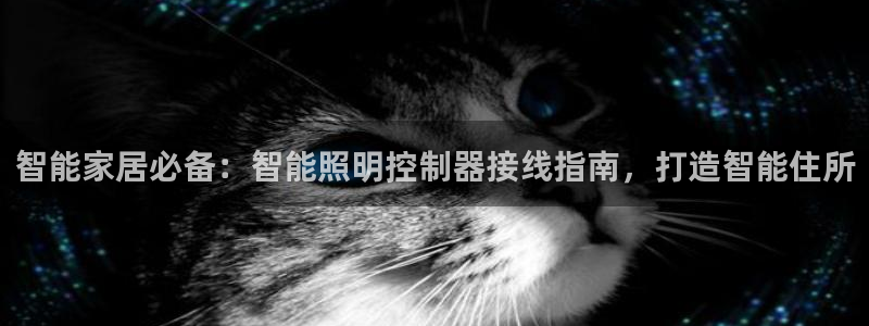 云顶国际集团游戏会不会黑钱