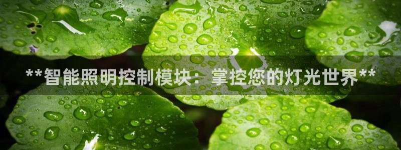 云顶国际是什么充值安全吗