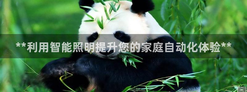 云顶国际服什么时候更新s11