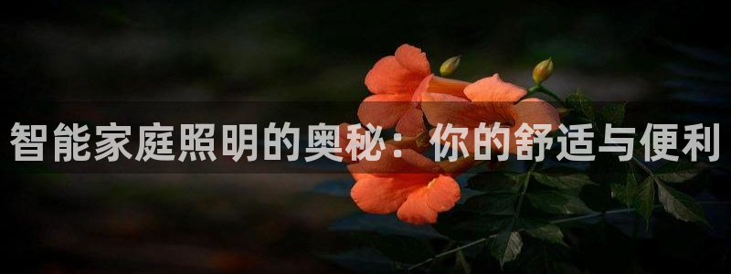 云顶国际yd333团体官网
