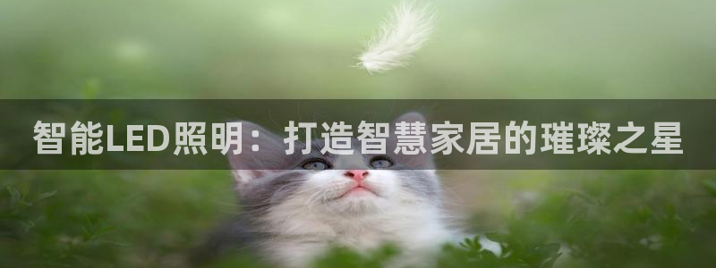 云顶国际高中