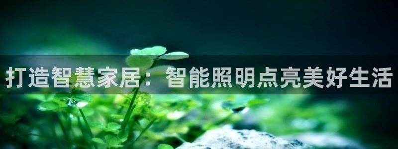 云顶国际停车费怎么收