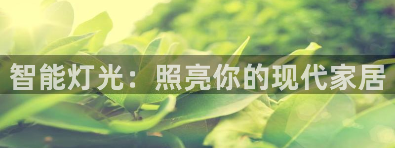 云顶国际KTV商务会所(新华街南段店)简介