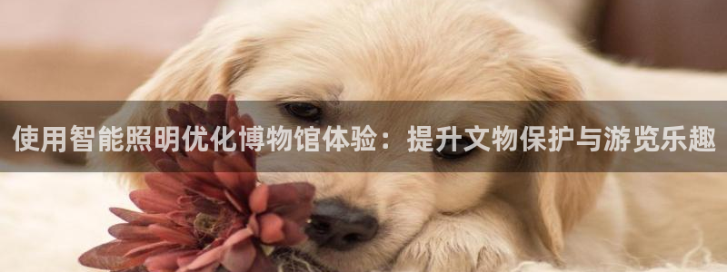 云顶集团游戏app