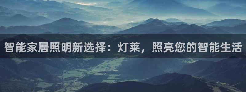 云顶国际城手机网址