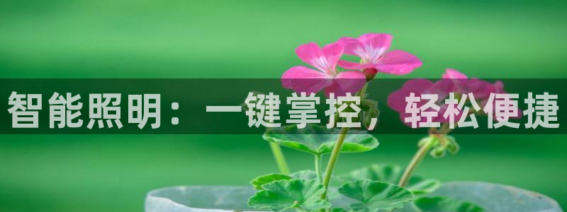 云顶国际高中学费多少钱一年
