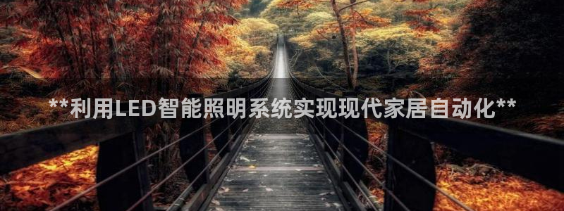 云顶app官网