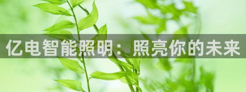 云顶集团董事长林东简历图片