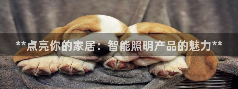 云顶集团welcome官网