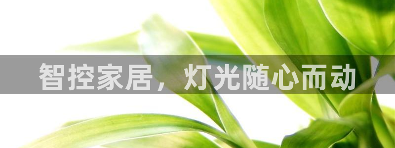 云顶国际app是什么游戏