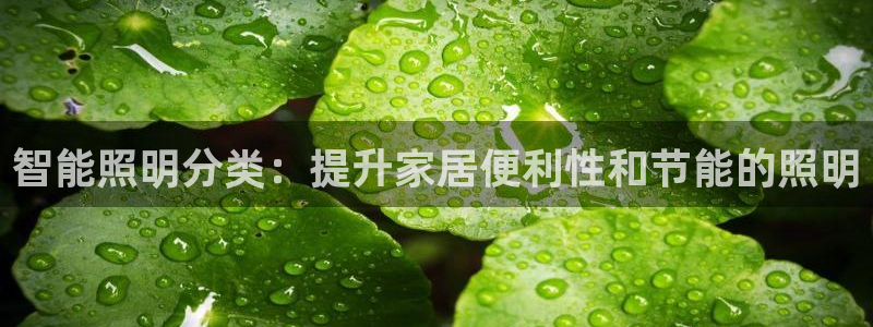 下载云顶国际app