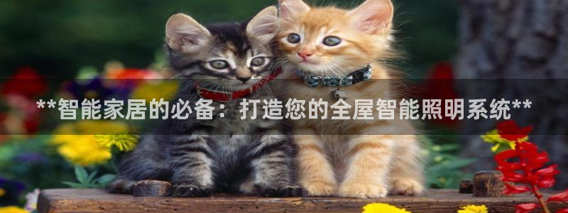云顶集团网站安全吗