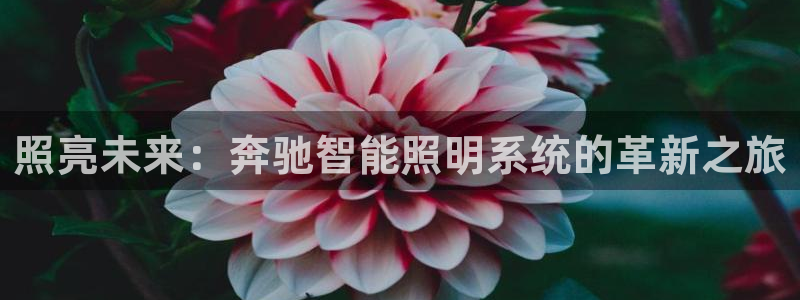 云顶国际实业有限公司