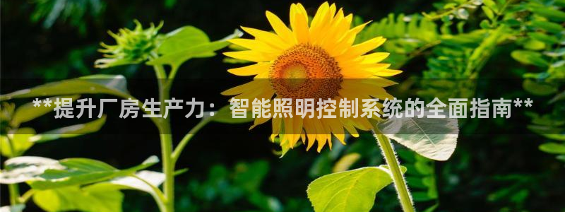 云顶国际服最新版