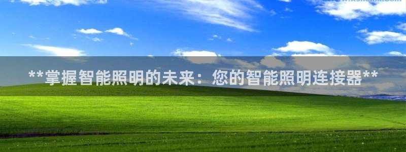 云顶国际(集团)开发实业有限公司