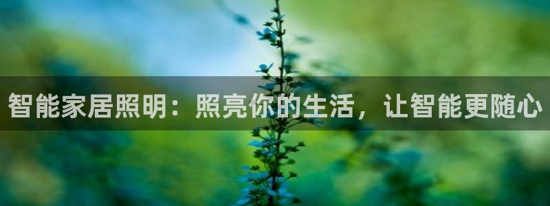 云顶671183