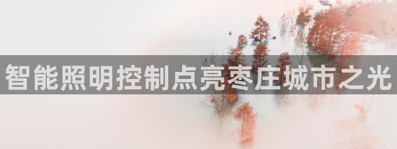 云顶国际是做什么的公司