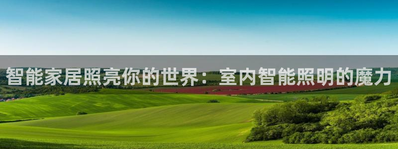 云顶国际服s6