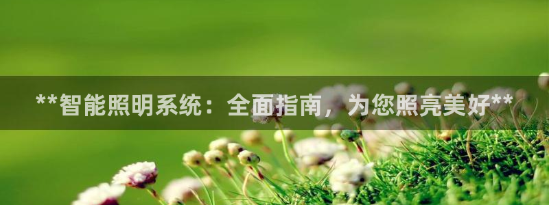 yd2333云顶电子游戏