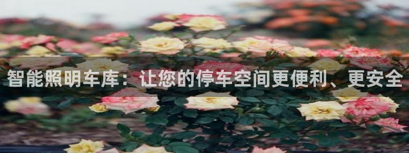 云顶国际部一年学费
