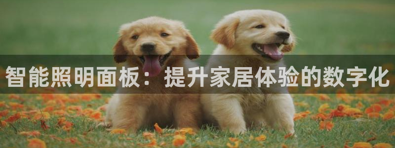 云顶国际服s9