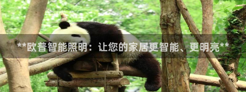 云顶集团app推荐agla