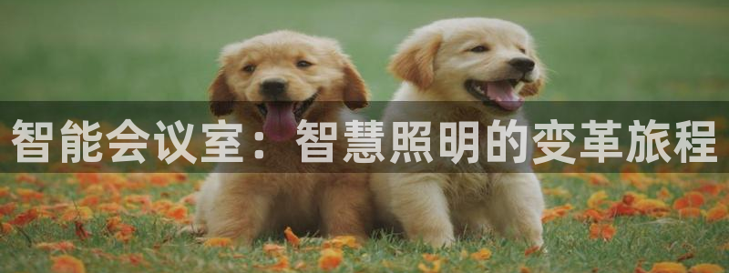 云顶国际服怎么登陆