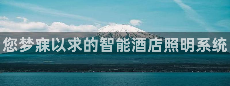 云顶国际是做什么的