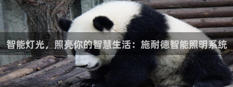 云顶集团游戏app