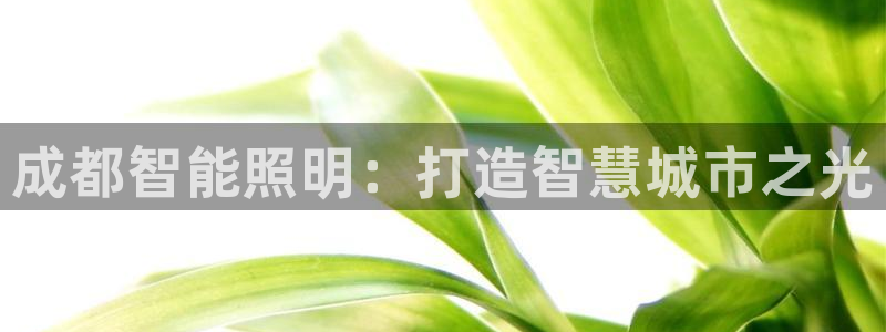云顶国际会所电话
