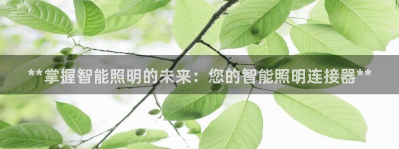 云顶国际测试服怎么进