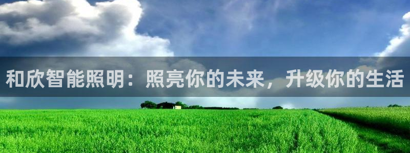 云顶国际服自定义
