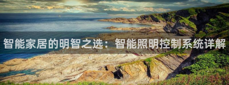 云顶国际物流官网网址
