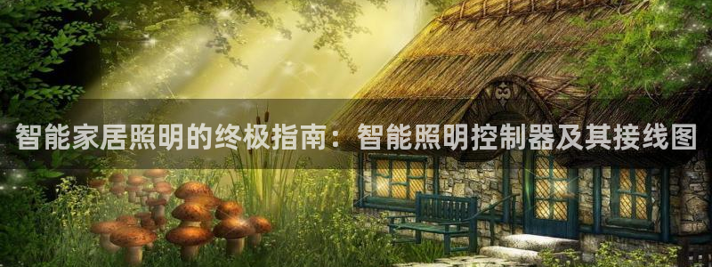 云顶最新t1