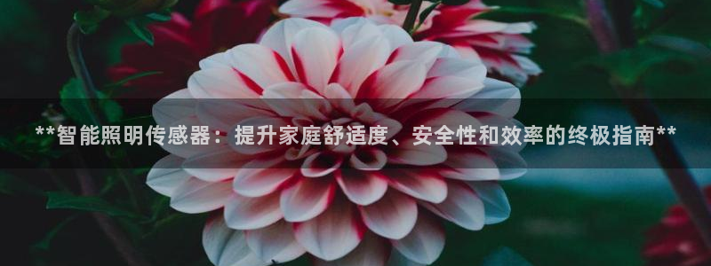 云顶国际地产