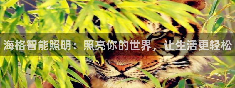 云顶国际商业广场a座101室