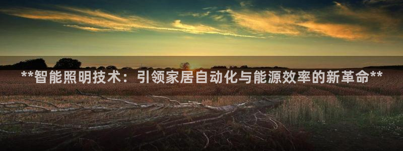云顶国际足球app下载