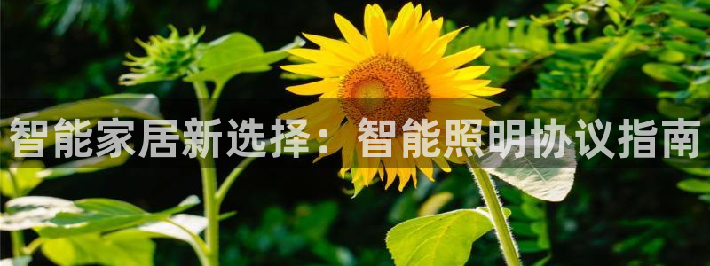 云顶国际会所是干嘛的地方