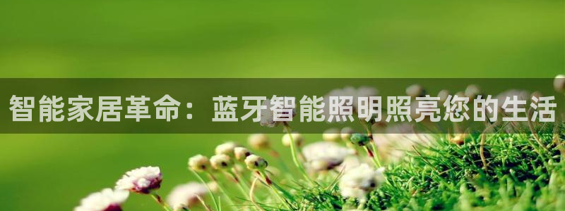云顶国际黑款不