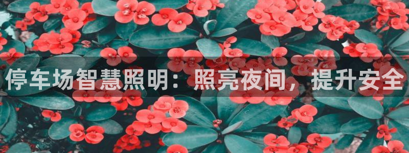 云顶国际投资有限公司