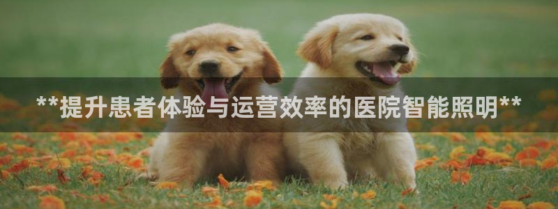云顶国际App下载